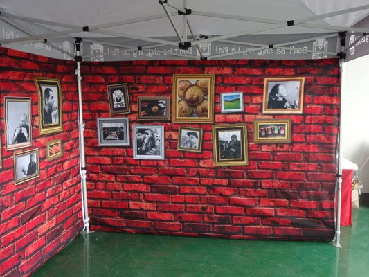 Toldo plegable publicitario al aire libre del Gazebo de la tienda el 10X20FT del toldo de la promoción